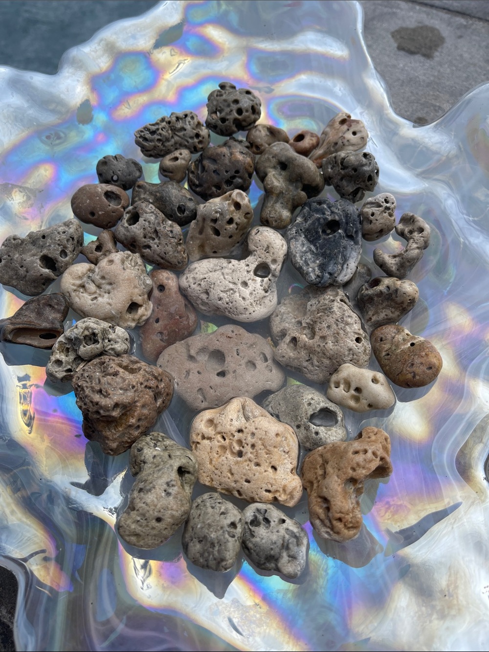 Natural Hag Stones - Brown/Gray